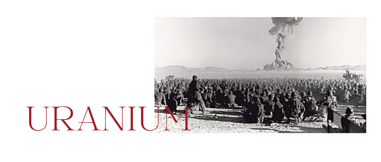 Milli İstihbarat Teşkilatı