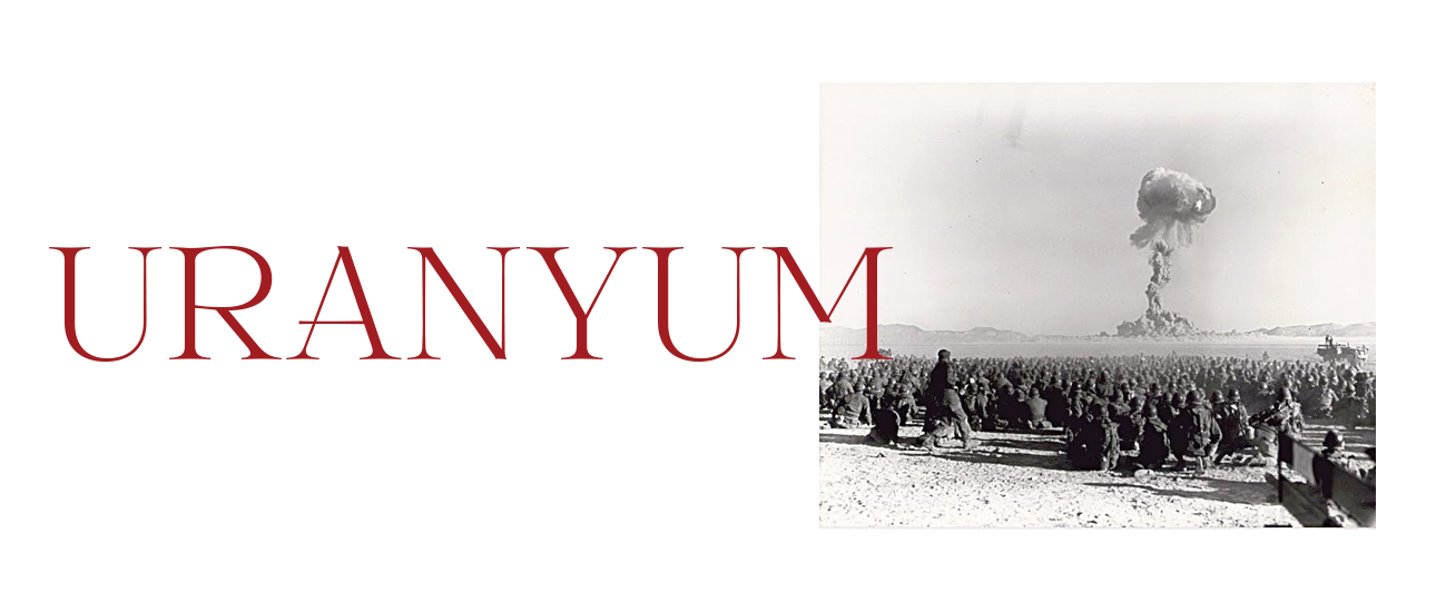 Milli İstihbarat Teşkilatı